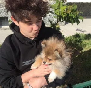 Стример - фото