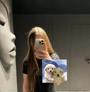 Стример - фото