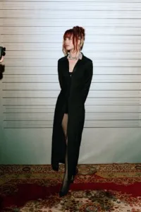 Стример - фото