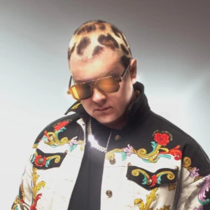 Стример - фото