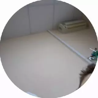 🙂 ZakvielChannel сообщил, что успешно перенёс операцию по удалению миндалин Я не…