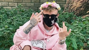 Стример - фото