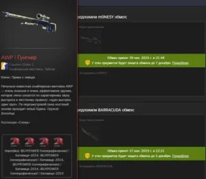 🤝 Evelone дал M0NESY, AWP | Gungnir на Major