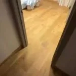 😳 Guacamolemolly и Valyusha показали свой арендованный дом