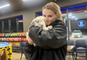 Стример - фото