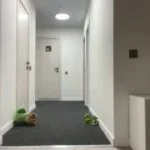 🐸 Sasavot сделал косплей на Джирайю из Наруто. Как вам косплей по…