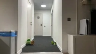 🐸 Sasavot сделал косплей на Джирайю из Наруто. Как вам косплей по…