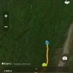 Фото из Telegram