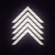Aelris_