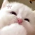 sashawaify