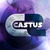 castus_mlbb