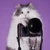 makotocamera