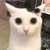keliQ_Q