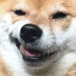 fffatalisttt