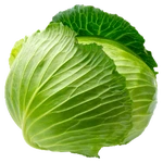kachan5rp