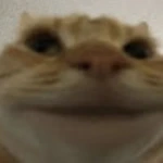 sosisonlol