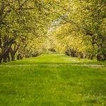 garden4k