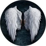 wingsmax