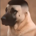 nskady