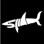 VITALxSHARK