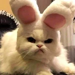 alineekss