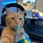 meowmag1co