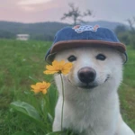 whoshare