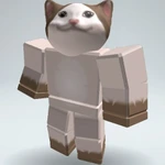 robo_eva