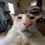 v0kky