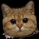 nu7ra_