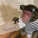nat1vecs2