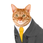 PWGood
