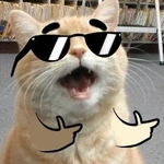 marshallkotik