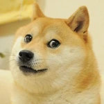 GoodBoy_TV