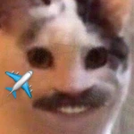TAIRLEND