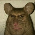 sanekingg