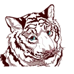 xColdTigerx