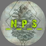 na_pol_shishki