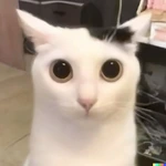 keliQ_Q