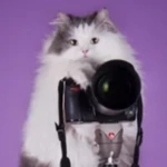 makotocamera