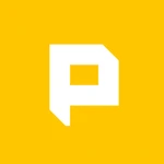 PingerPro