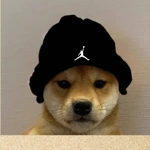 serega_goga
