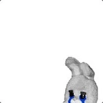 stepashaxd