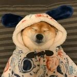 E3nddy