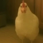 ma4etarrr