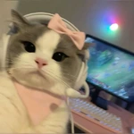 traaaffic