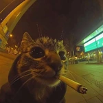 fedeki_