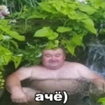 dedus_ks