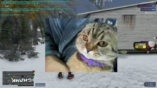 симба 2