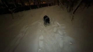 Не целуйтесь без любви